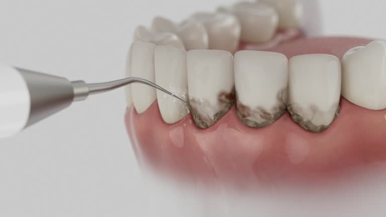 Reliable Dental contractor in Tyro, NC by Dentist Open Now